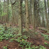 M6244579