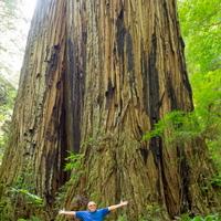 Redwood Nat/State Parks