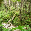 M6295064