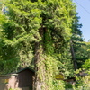 M6295077