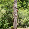 M6305082