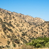 M7055587