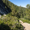 M7065665
