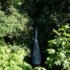 M7136544