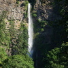 M7136563