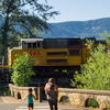M7136566