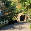 M7136598