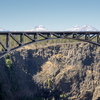 M7136446