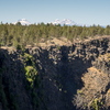 M7136461