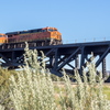 M7136465