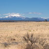 M7136479