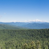 M7136524-Pano