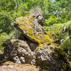 M7126369