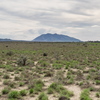 P5313820