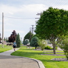 P5313843