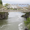 P5313844