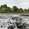 P5313873-Pano