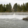 P5313879