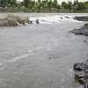 P5313894