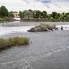 P5313895