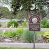 P5313899