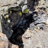 P5313545