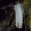 P5313563