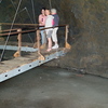 P5313565