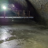P5313573
