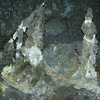 P5313578