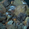 P5313579