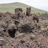 P5313646