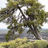 P5313664