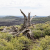 P5313666