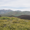 P5313667