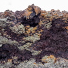 P5313695