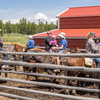 P6013966