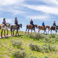 Eagle Ridge Ranch