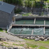P6013955