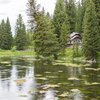 P6013993