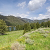 P6034318