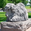 P6105462