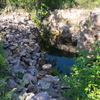 P6095364