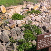 P6095365