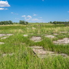 P6095366