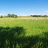 P6095368