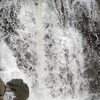 P6095384