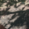 P6095396