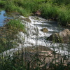 P6095409