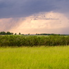 P6095418
